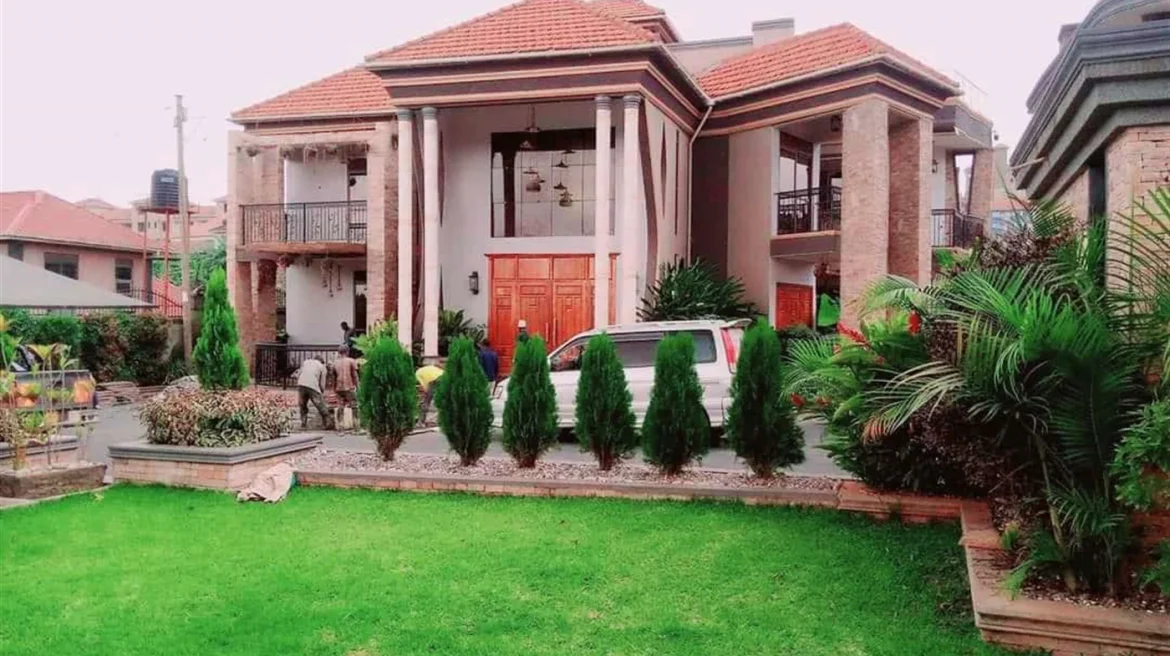 video image