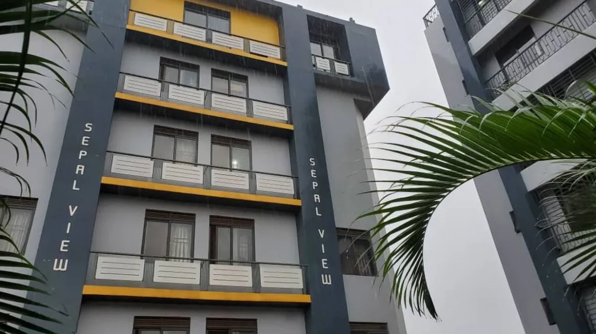 video image