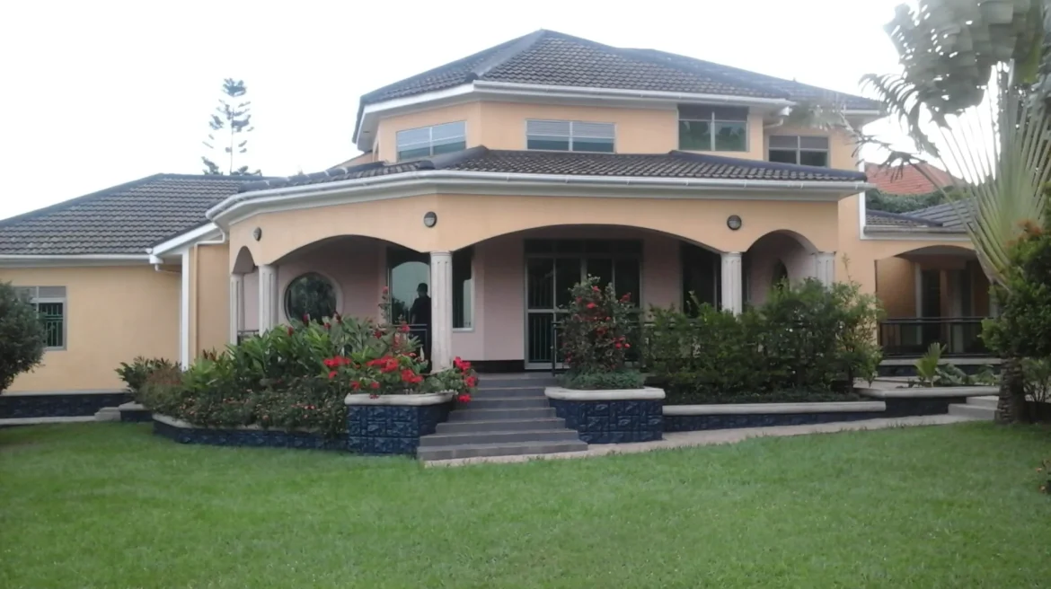 video image